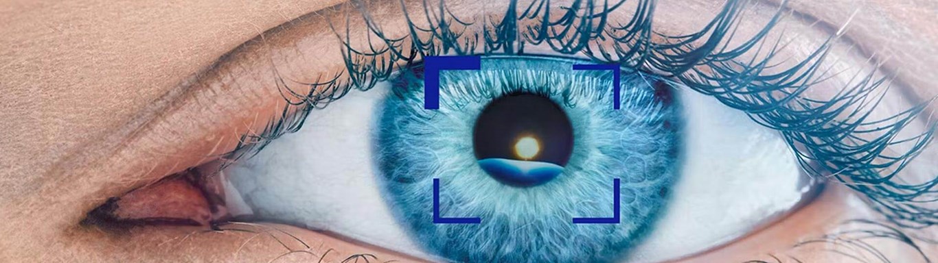 Close up of blue human eye