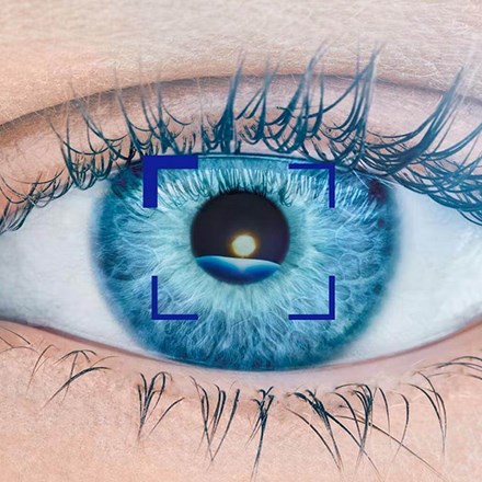 Close up of blue human eye
