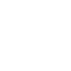 NetSuite logo in white