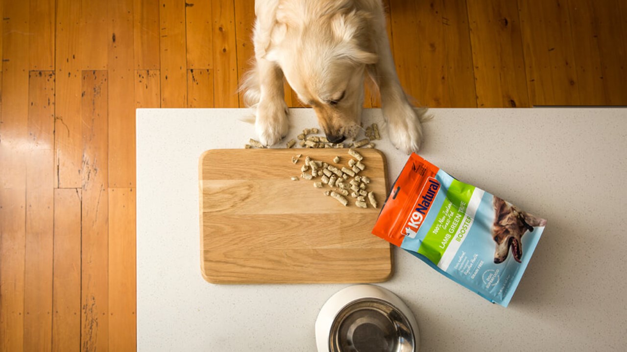 Dog eating treats from Natural Pet Food.