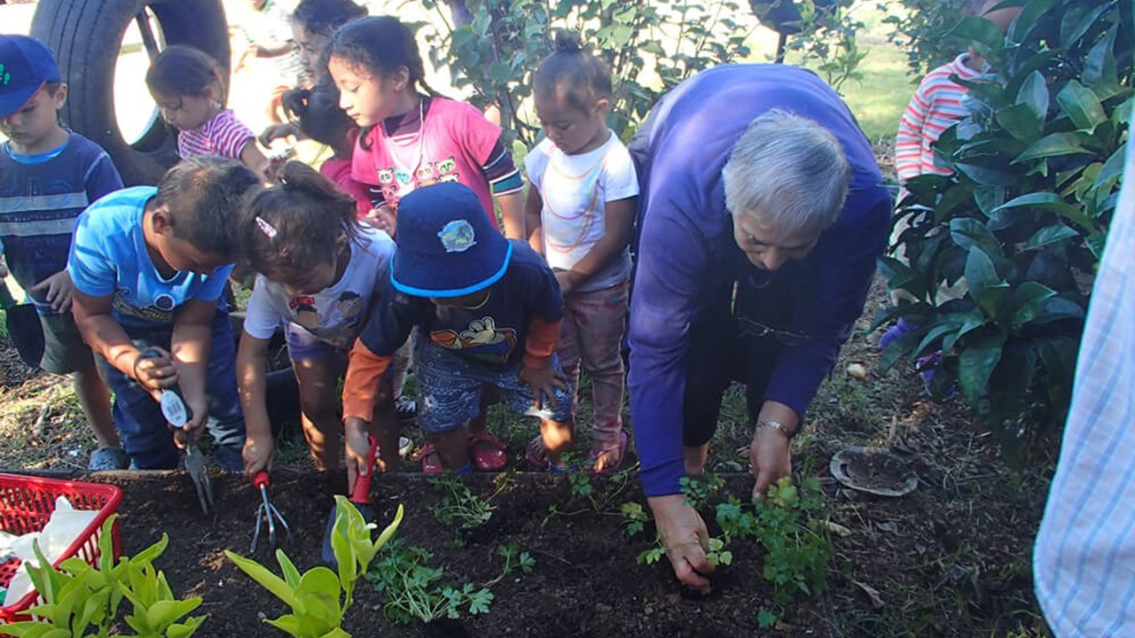 Adult teaches children to care for plants and garden