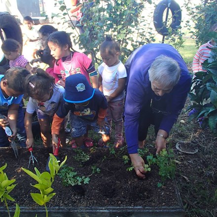 Adult teaches children to care for plants and garden