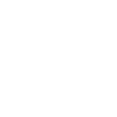 IBM logo in white