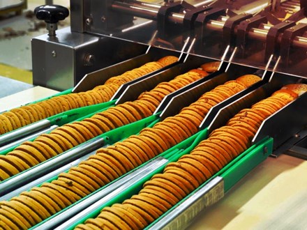Image of cookies in a manufacturing state. 